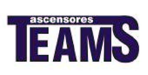 LOGO TEAMNS_156648