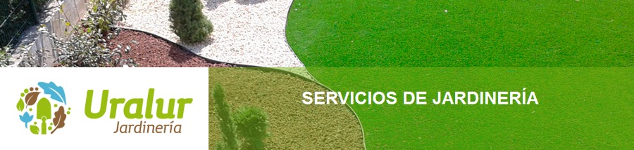 Nuestra empresa
