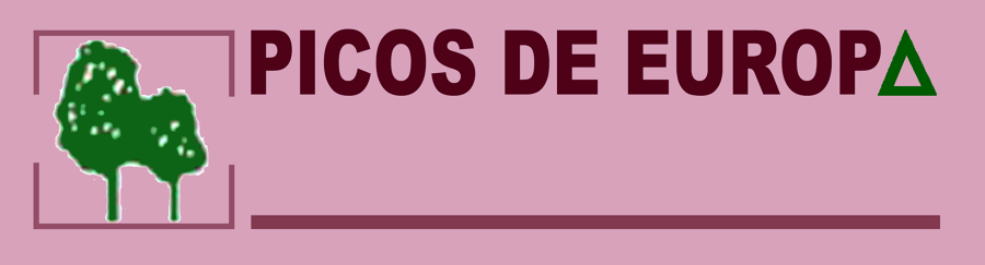 logotipo.