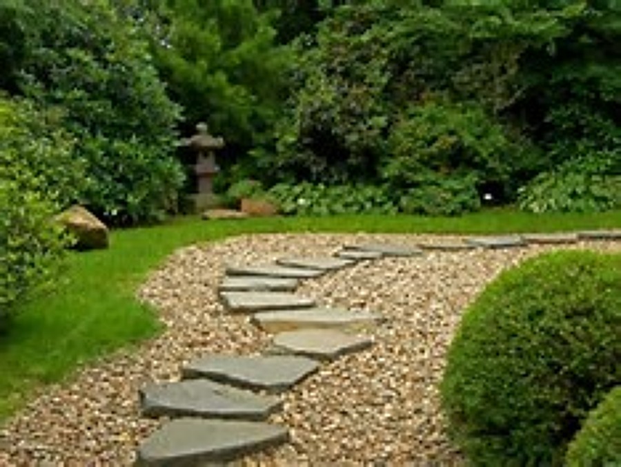 jardin 11
