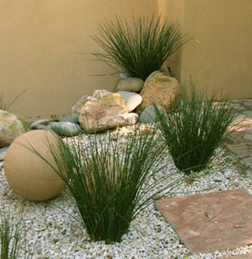 jardin 12