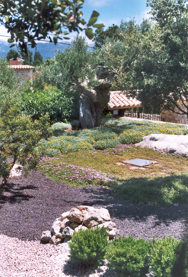 xerojardinería