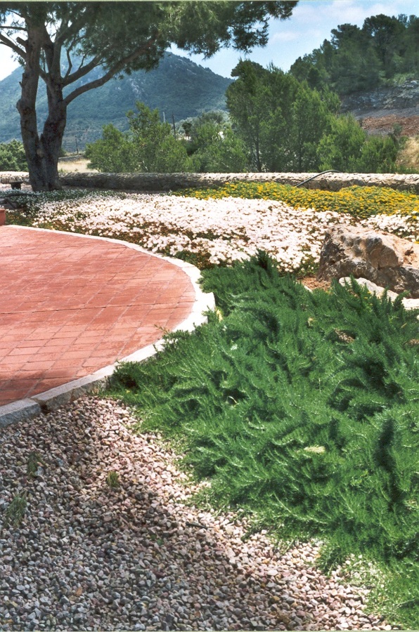 xerojardineria