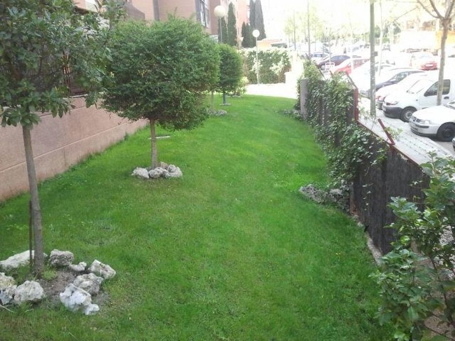 Mantenimiento de jardin