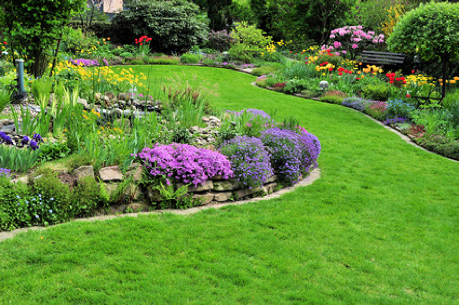 MANTENIMIENTO JARDIN