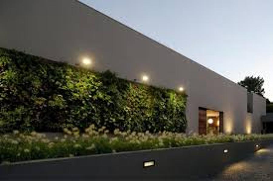 MURO VEGETAL