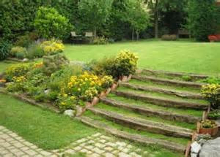 jardin 13