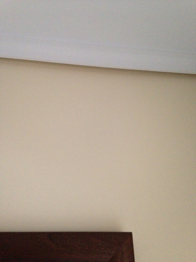 pintura