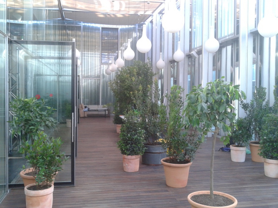 Hotel melia pere lV
