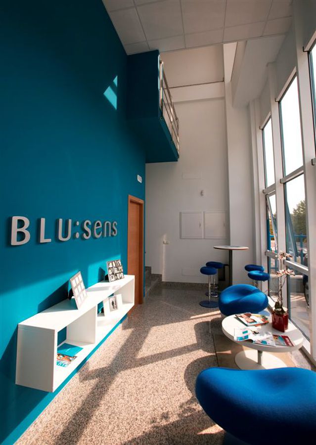 Nave Blusens