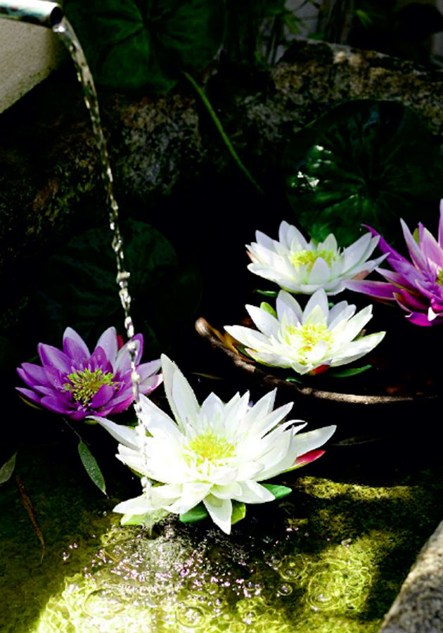 Nenúfares Artificiales