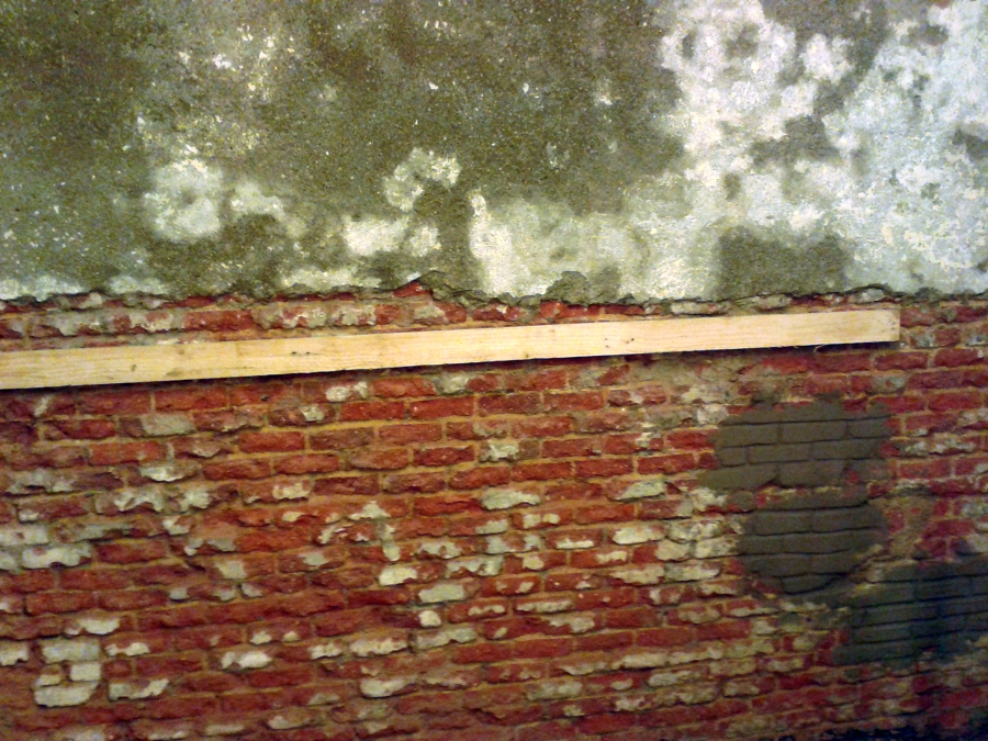 obra c/ virtudes nº 6