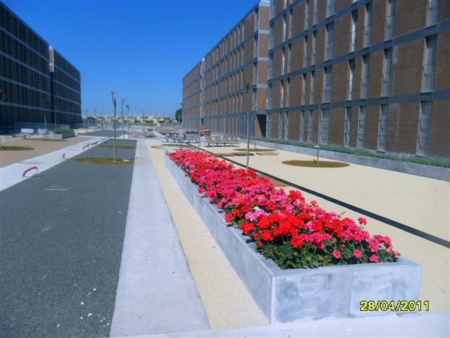 Obra Jerez 2