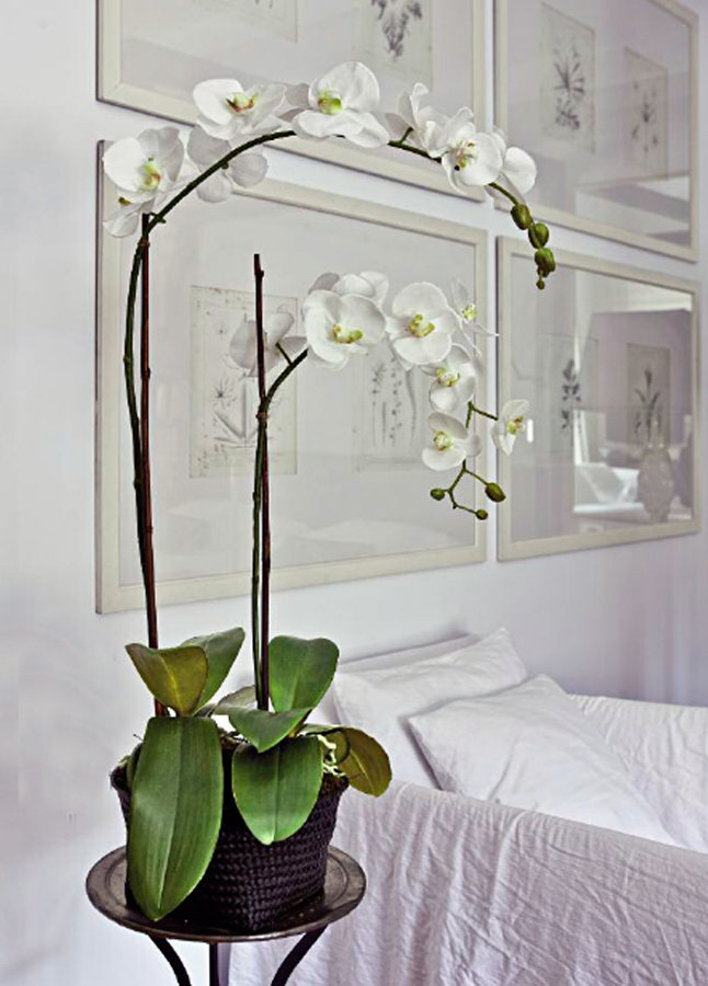 Orquídeas Artificiales