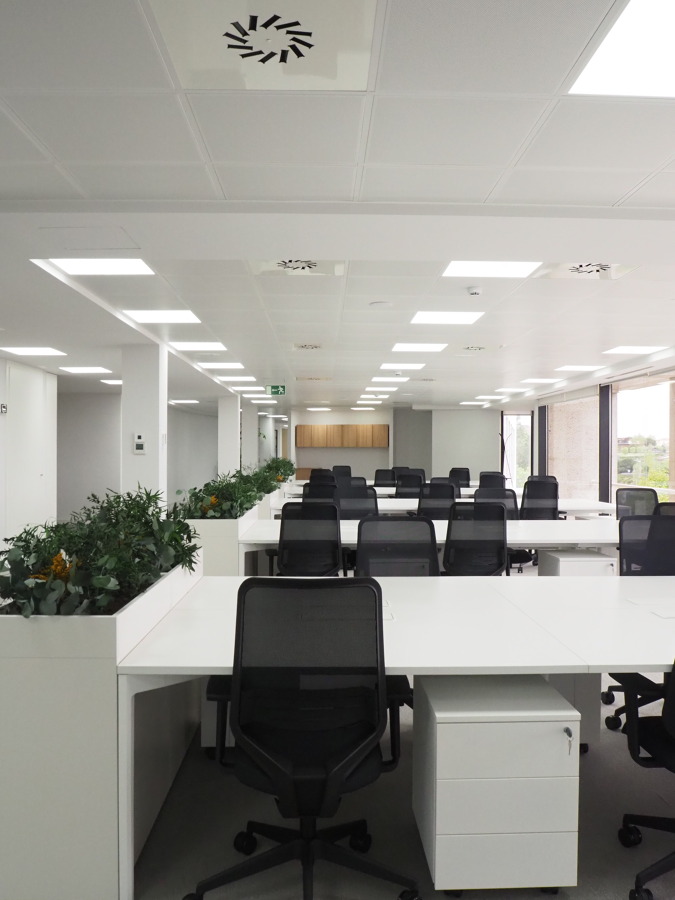 Open Space - Zona de trabajo