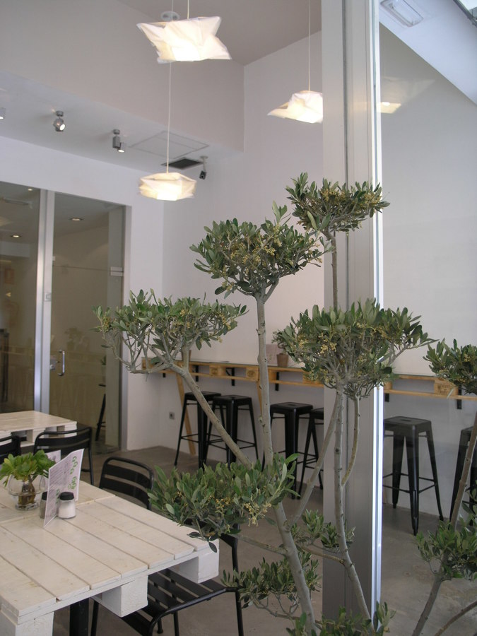RESTAURANTE BEGREEN