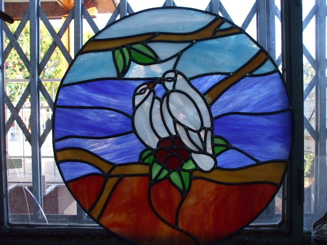 pajaros