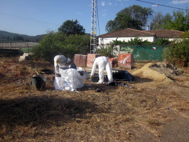 paletizacion de uralita
