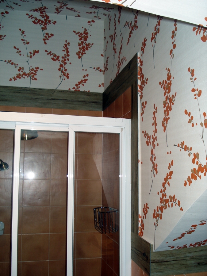  PAPEL BAÑO ESTAMPADO