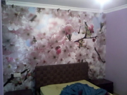 papel mural