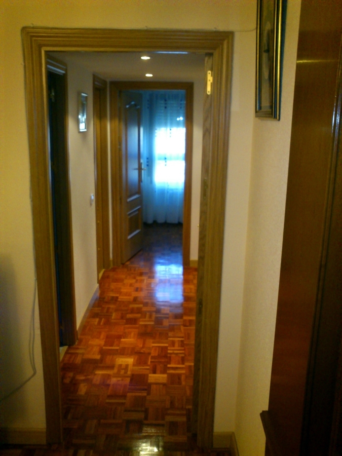 paquet eucalipto