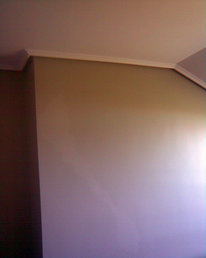 PARED Y TECHO PINTADO EN CASTROS