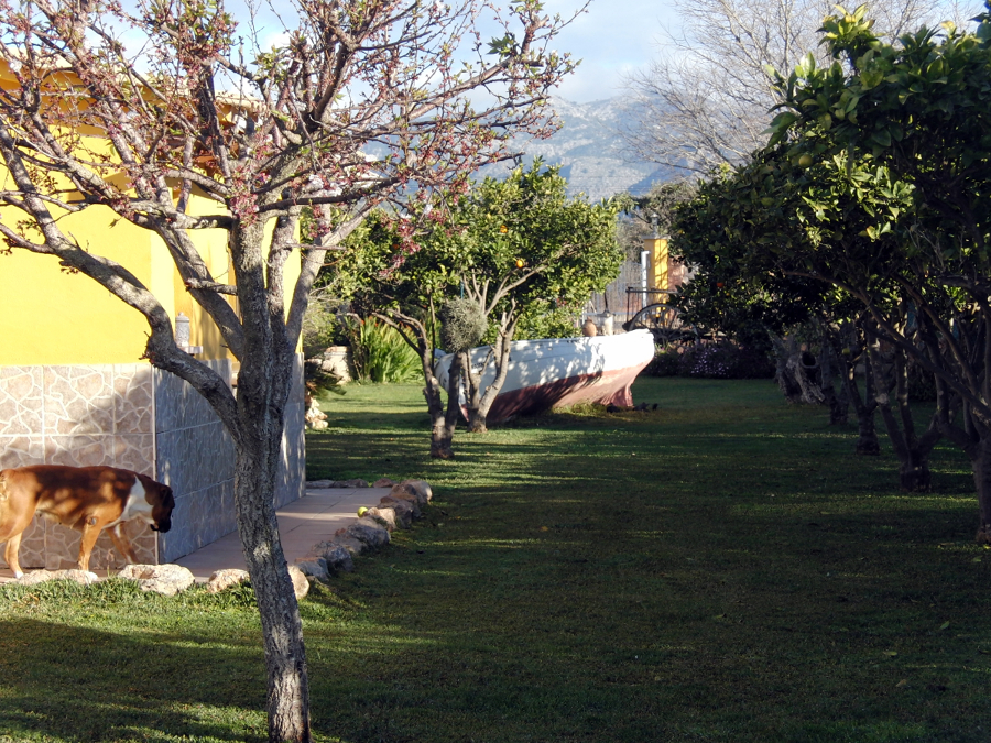 Pasillo del jardin 