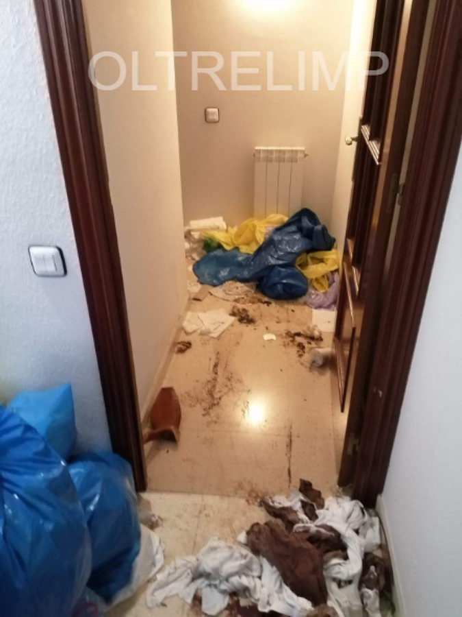 Limpieza piso sindrome de diogenes