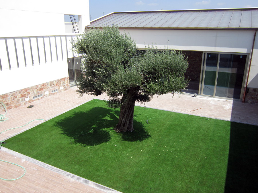 PATIO EN EJECUCIÓN 