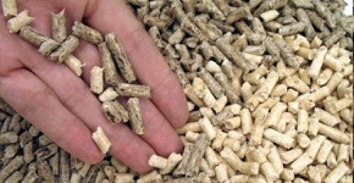 pellet