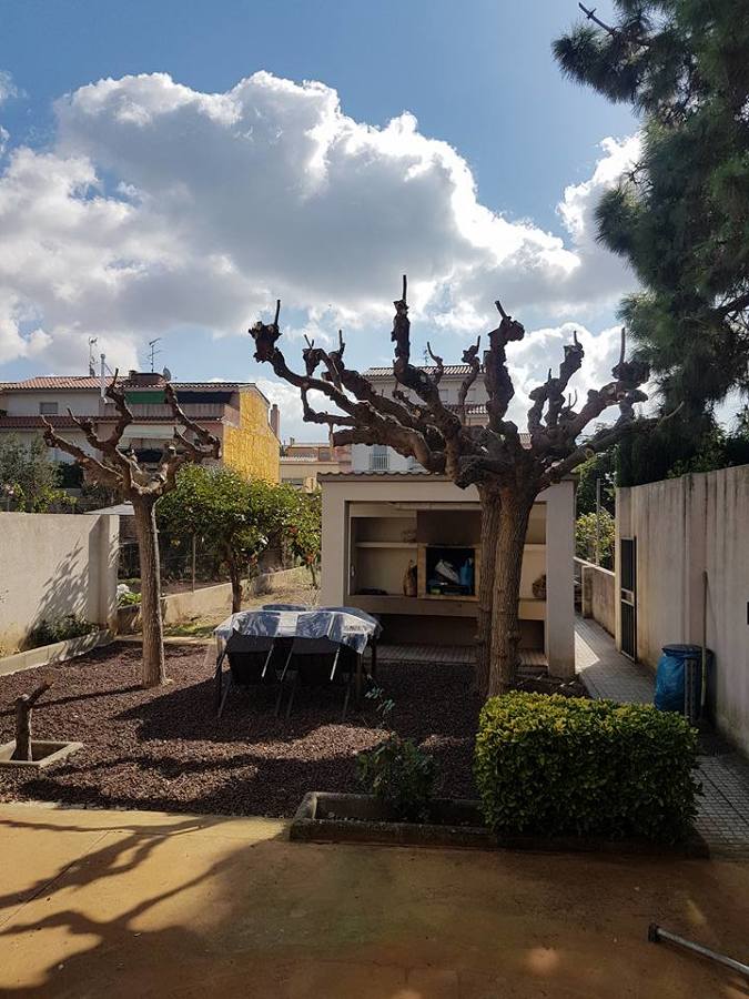 Trabajos jardinería