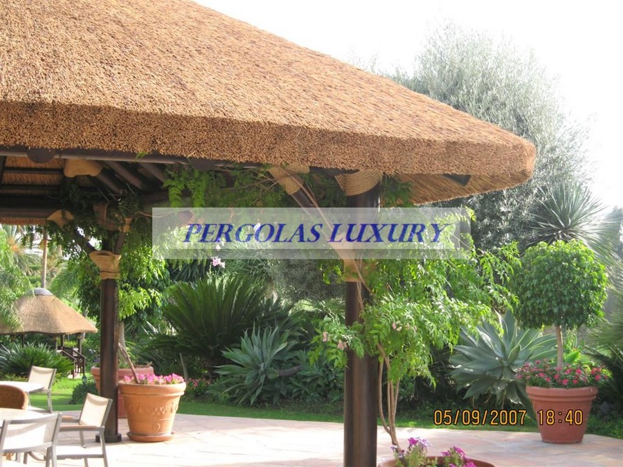 PERGOLA JUNCO AFRICANO