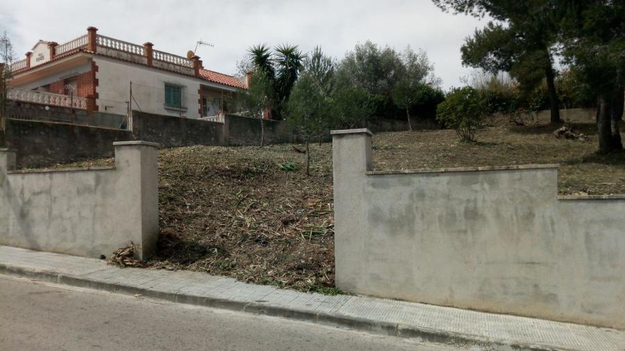 Limpieza de parcela