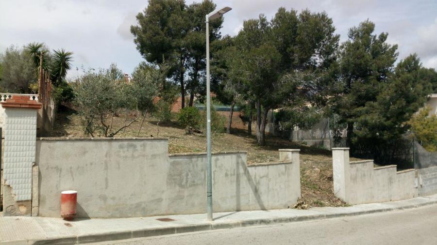 Limpieza de parcela