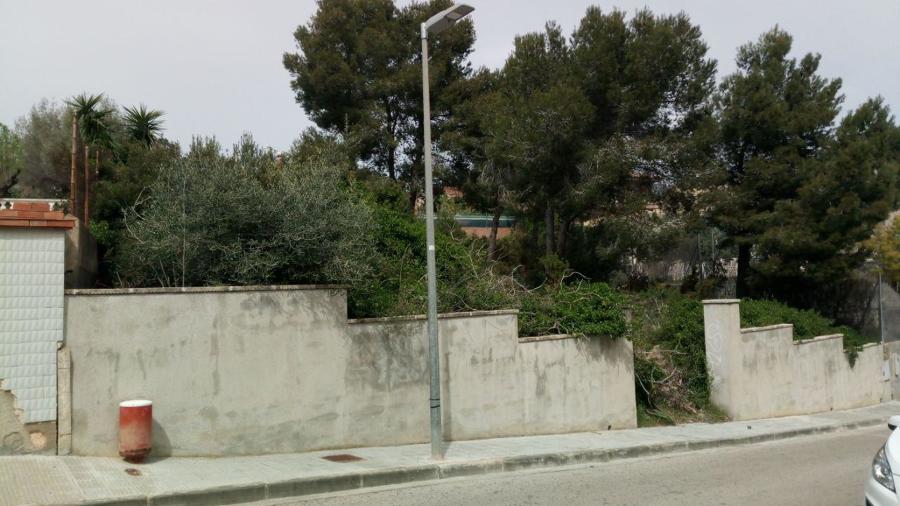 Limpieza de parcela