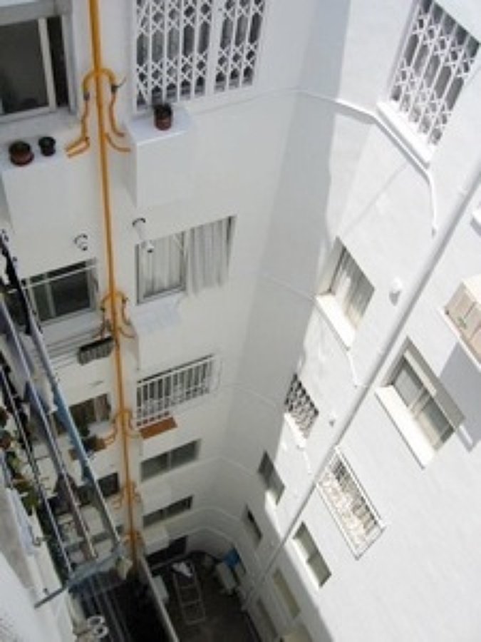 PINTADO DE DESLUNADO