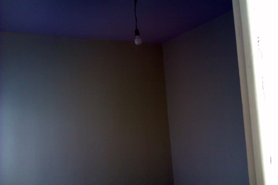 Pintar