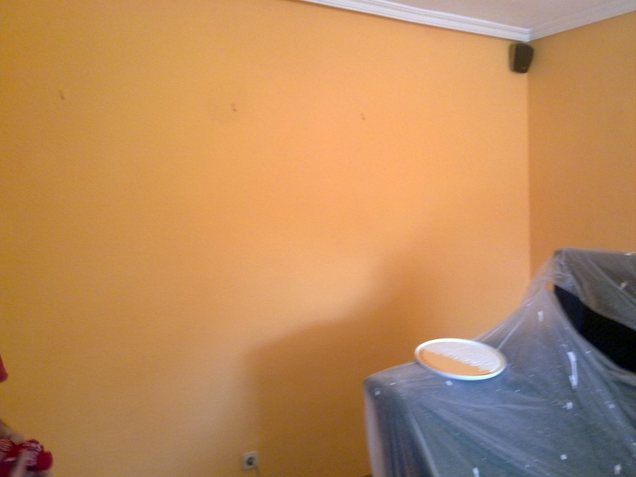 Pintura plastica