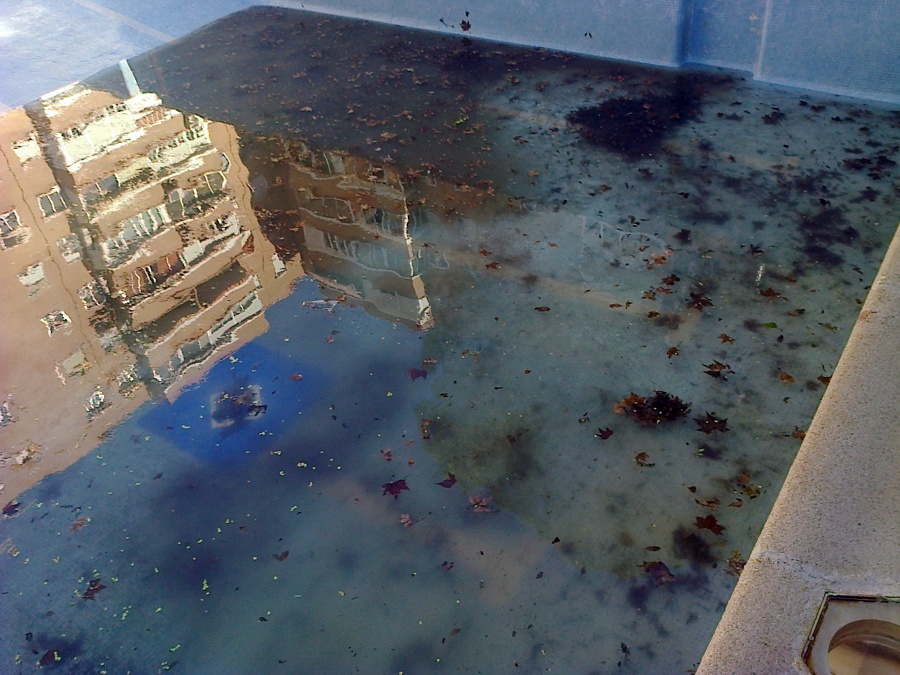 piscina sucia