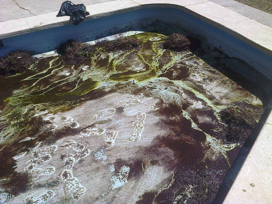 piscina sucia