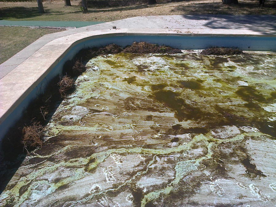 piscina sucia