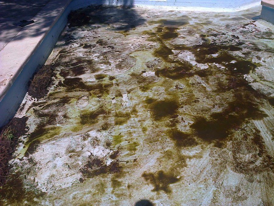 piscina sucia