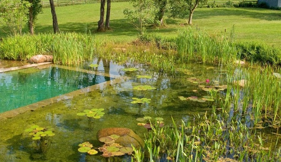 jardines
