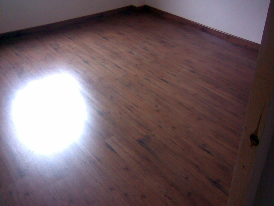 Piso, Estepa