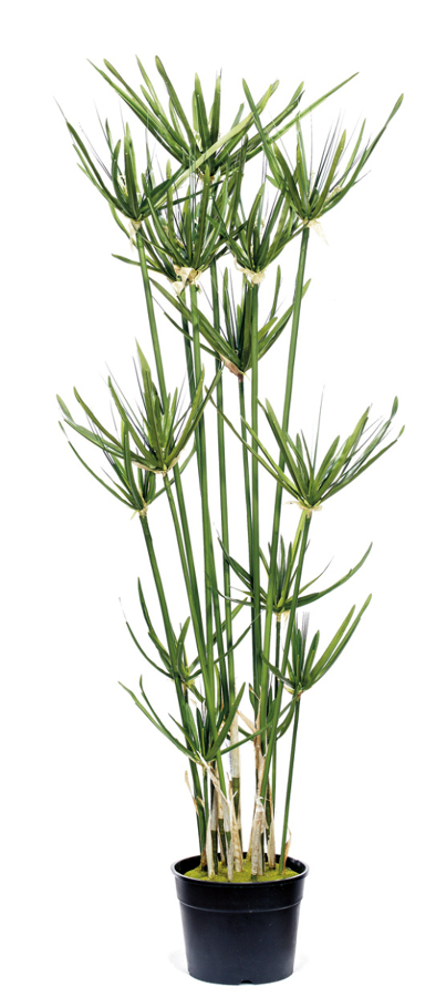PLanta Papiro Artificial