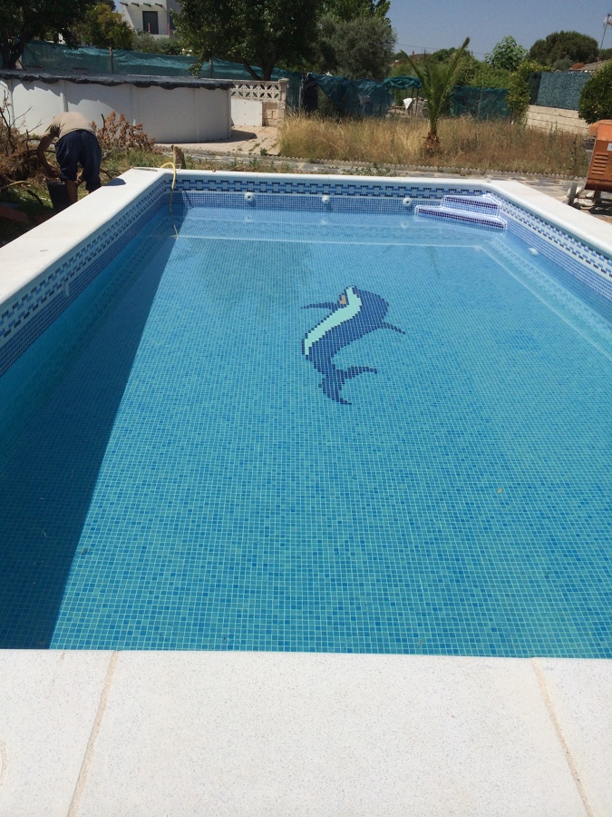 PISCINA GUNITADA 