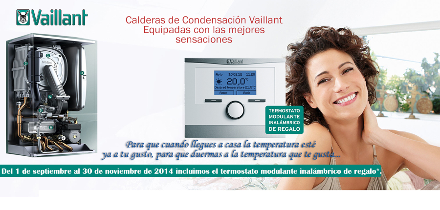 Precio calderas