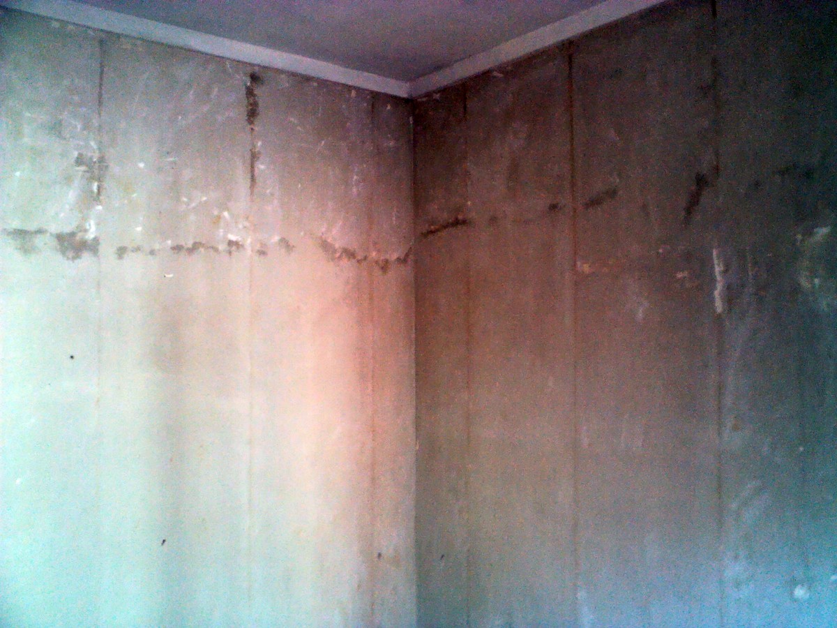 Previo a pintar.