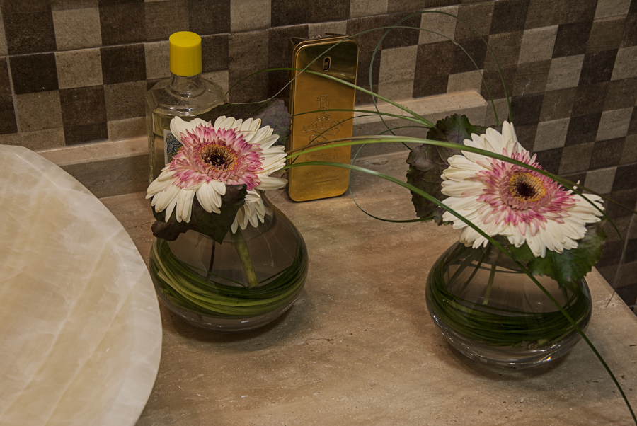 Proyecto baño