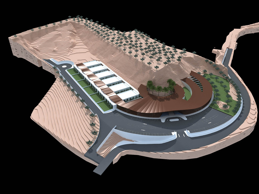 PROYECTO RESIDENCIAS MAYORES Y PSICODEFICIENTES